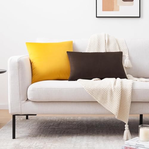 Image of AAZEEM Decorative Throw Pillow Covers Set of 2 | Super Soft Velvet Pillows|Fall Pillowcase for Living Room Bedroom Sofa Couch Cushion Cover |