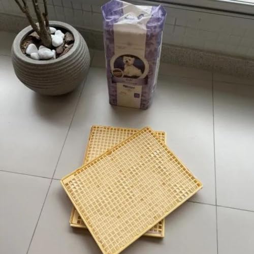 PIPI DOLLY'S Tapete Absorvente para cachorro 28 Unid