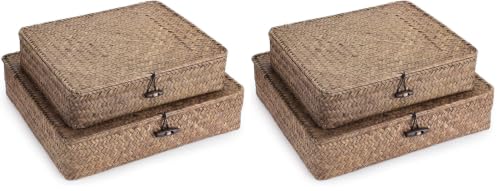Image of Hipiwe Set of 2 Flat Woven Wicker Storage Bins with Lid Natural Seagrass Basket Multipurpose Home Boxes for Shelf Organizer (Coffee) (Pack of 2)
