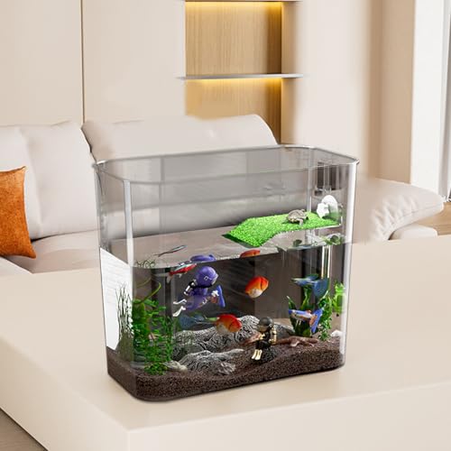 Aquarium pour tortue transparent parfait pour embellir votre bureau ou salon