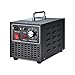 Produktbild Songway Commercial Ozongenerator Geruchsentferner Luftsterilisator, 10000 mg/h für Haus, Küche, Auto, Garage, Bus, Boot, Restaurant, Geschäft, Luftreiniger - EU-Stecker