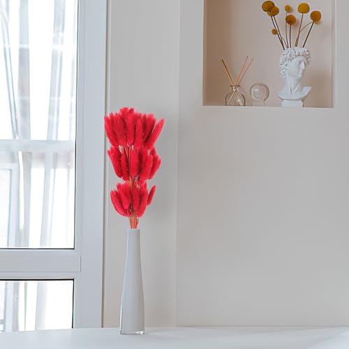 Decoración floral con hierba cola de conejo seca roja 60 tallos miniatura 6