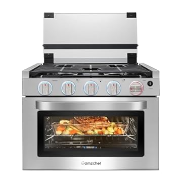 portable gas stove with oven