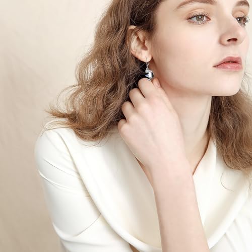 Alphm 925 Sterling Silver Bird Earrings for Women Puffins Earrings Blue Footed Booby Earrings Cute Bird Jewelry for Daughter Sister2