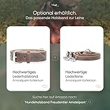 FREUDENTIER Hundeleine 2m aus zertifiziertem Leder - Verstellbare Führleine - Handmade in EU - Hundeleine grosse Hunde, mittelgroße & kleine Hunde - Lederleine (Dark Chocolate, 20mm breit)