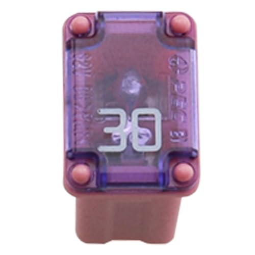 Fusibles microcuchilla de 30A DGZZI para proteger el sistema eléctrico de coche 4
