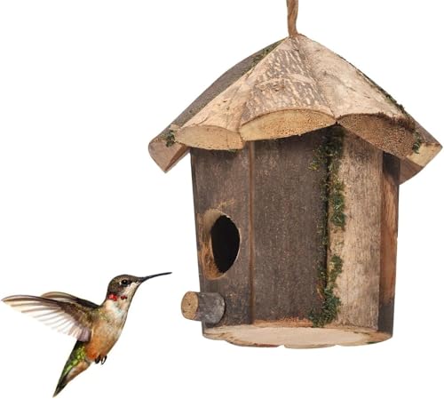 Bayosou VRؐ̑ Opn`hXYphdlK[ffR[V GR 뉀  ][gX^C݂艺Lbg ~` ` (~`)