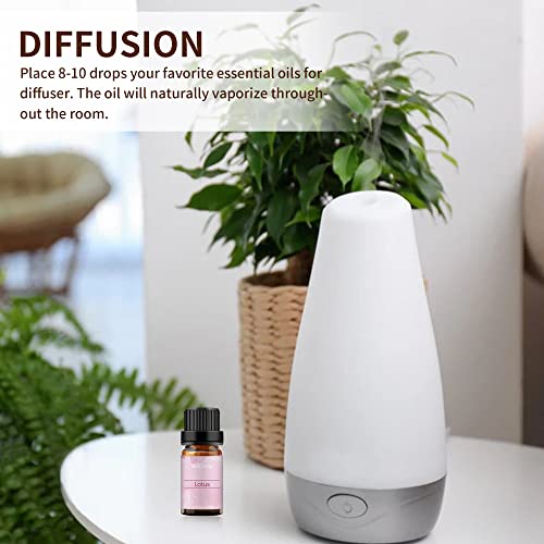 Jasmine Essential Oils Gifts Set By Buriburi 100% Pure Gardenia Oils Essential Kit - Top 6 Aromatherapy Rose Oil Essential Oil Set - 10Ml (Gardenia, Lily, Lotus, Lavender, Jasmine, Rose) #TOP1