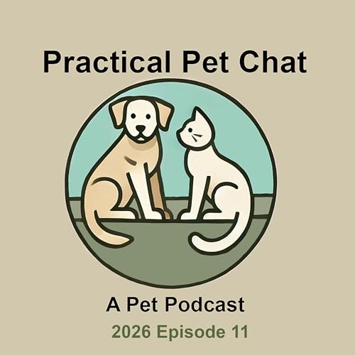 Practical Pet Chat - Episode 11 - 2026 - WTH Pet Parenting and So Much More