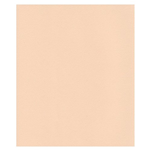 エスケント ケント紙 スターカラー 四切 エッグシェル 100枚 5722004