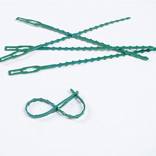 Exttlliy Plastic Reusable Adjustable Garden Plant Twist Tie Gardening Flexible Vines Tie for Garden Home Use Green (60Pcs)