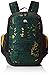 Quiksilver SCHOOLIE Youth, Mochila. para Niños, Greener Pastures, Einheitsgröße