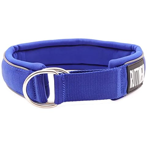 Hundehalsband mit Nylon, Schaumstoff Cover
