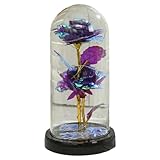 Design de conte de fées : les lumières LED autour de la rose lui donnent une lueur captivante qui améliore son design de conte de fées et attire l'attention sans effort. Illuminez votre espace d’une beauté enchanteresse.