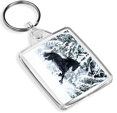 Price comparison product image Friesian Stallion Black Keyring -IP02- Horse Equestrian Winter Snow 16228