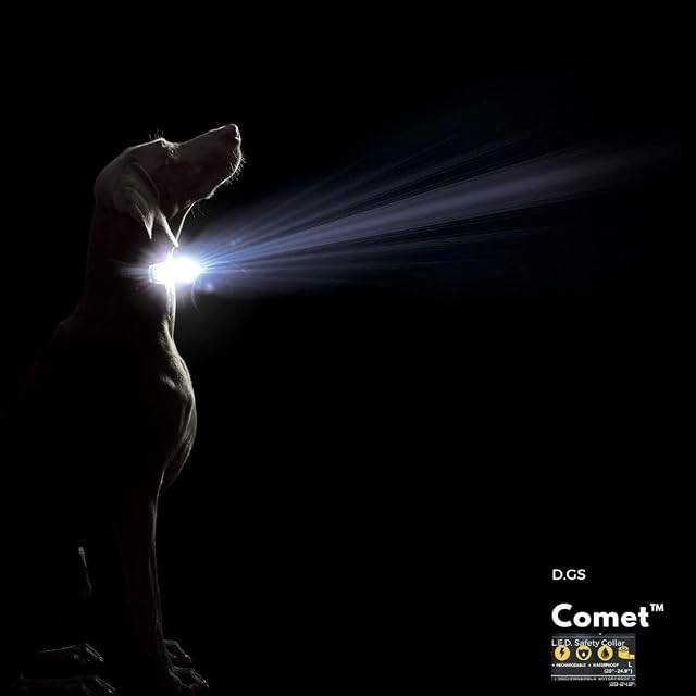 Foto 3 de 4 de Dog Gone Smart Pet Products Collar de Perro Cometa Recargable con luz LED, Morado, Mediano