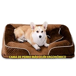 Cama para Perro 68 x 54 cm – Más Cojín, Viscoelástica, Ortopédica, Impermeable, Lavable y Desenfundable – Para Verano e Invierno – Cojines Extraíbles – Haz que Tu Mascota Disfrute y Descanse