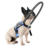 LetPetRun Blind Dog Harness, Guiding Halo with Protective Vest - Adjustable Support Harness to Calm & Guide Blind Pets, Confidence Building Leash Attachment for Safe Walking and Training (S)