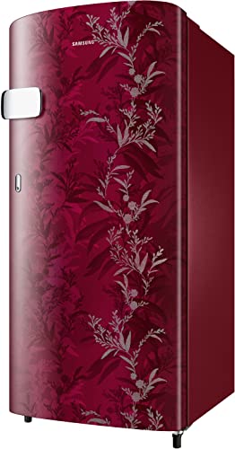 Image of Samsung 184L 1 Star Digital Inverter Direct-Cool Single Door Refrigerator(RR19C2YCZ6R /NL,Mystic Overlay Red) Base Stand Drawer