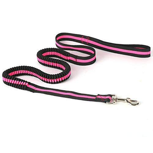 DXL Nylon Dogs Leash Elasticity Hand Freely Pet Products Dogs,2.5width Length 120,2.5width Length 120