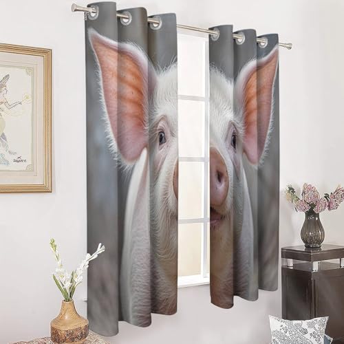 Rideaux occultants pour bloquer le froid du salon avec motif mignon