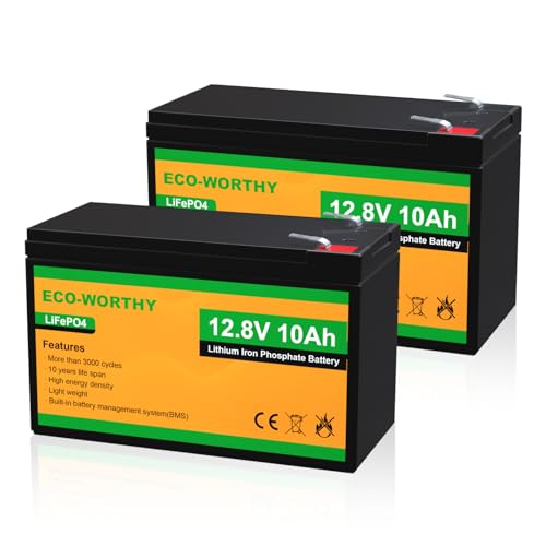 ECO-WORTHY 2 Pack 12V 10Ah LiFePO4 Lithium Battery, 3000+ Deep Cycle Rechargeable Battery, Perfect for Kids Power Wheels, UPS, Lighting, Fish Finder