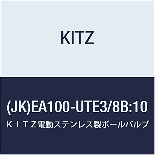 Lbcd(AC100V)XeX10K{[^PC(JK)EA100UTE3/8:10y󒍐Yiz