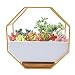 Produktbild O'woda Blumentopf Wand Pflanztopf, Weiße Moderne Wandvasen Keramik Deko für Sukkulenten Kaktus Wanddeko Balkon Gartendekor (Golden)