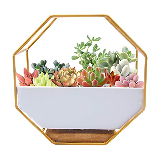 O'woda Macetas Colgantes de Cerámica, Metal Macetas Pared, con Orificio de Drenaje y Plato de Bambú, Decoración para Casa, Jardin, Sala de Estar y Boda (17.7 * 17.7cm, Dorado)