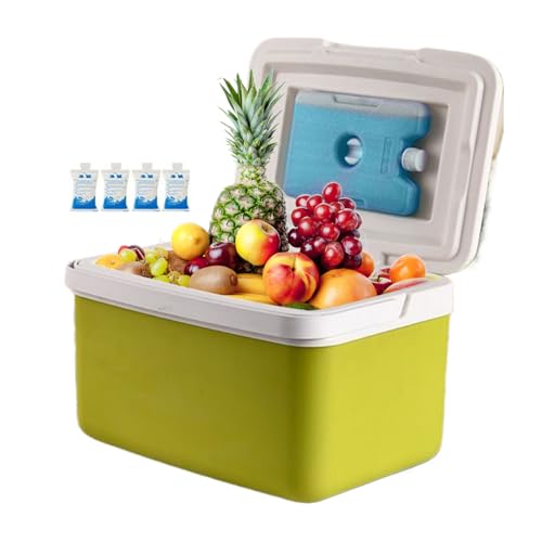 Glacière portable 15L idéale pour la plage et le bateau