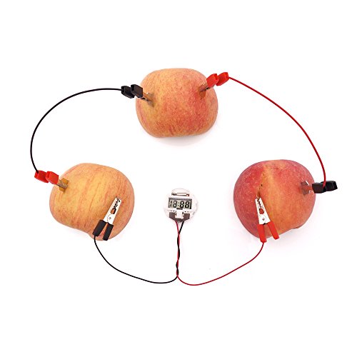 TommoT Fruit Battery-Potato Clock Science Experiment Kit for DIY Home Teaching Toy, School Science Project and Education Subject Toys