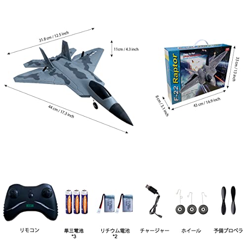 HAWK'S WORKラジコン飛行機、F-22 RC飛行機電動 されて簡単