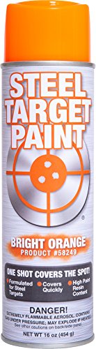 Steel Target Paint 16 oz Aerosol, Matte Finish
