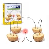 【Componenti Tecnici Inclusi】 Il set include elettrodi di calibrazione in zinco (anodo) e rame (catodo), cavi di collegamento con morsetti e diodi LED a basso consumo. Componentistica essenziale per condurre analisi e test di conducibilità in modo pulito e strutturato.
