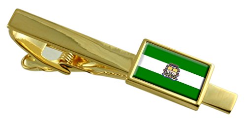 Select Gifts Sao Joaquim stad Santa Catarina statsflagga guldslips klipp ingraverat personlig