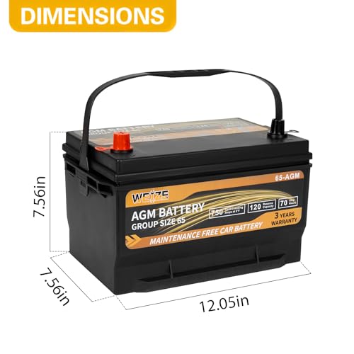 Weize Platinum AGM Group 65 Battery