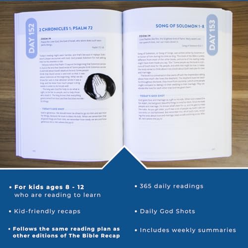 Image of The Bible Recap for Kids: A 365-Day Guide through the Bible for Young Readers