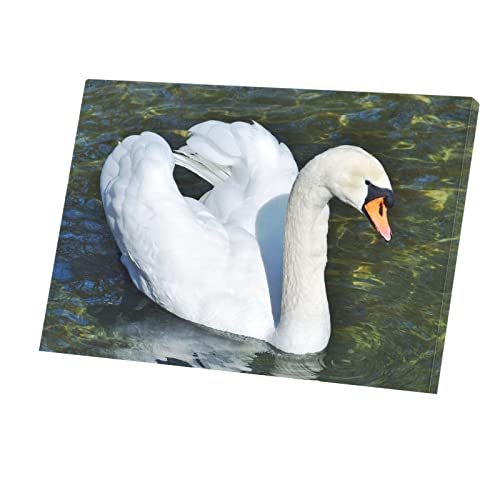 Poster cygnes sur le lac haut de gamme : tableau décoratif vie sauvage sur toile 60x40