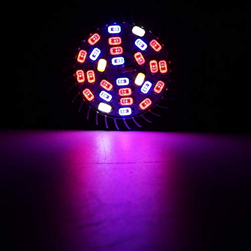 luz de cultivo Led de espectro completo de 28 W,Bombilla de cultivo, bombilla de lámpara de cultivo para plantas de flores, plantas de interior, verduras de jardín hidropónicas[E14], lámpara de