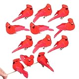 Bird Ornament Deco - 12 Piezas Árbol De Navidad Rojo, Animal Artificial | para El Patio Trasero del Jardín del Parque Bolsa De Bolas De Interior De La Casa, Decoración Te