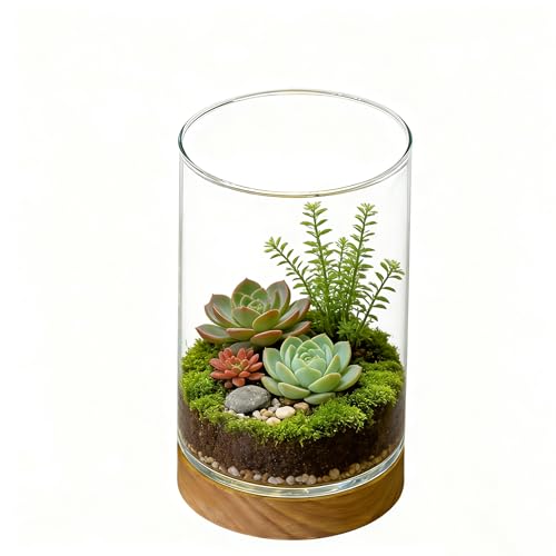 Glass Planter Terrarium LED Wooden Base, 3.9"x3.9"x5.9"