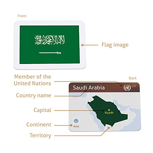 Carddia 240 Complete Collection Of Country Flags Flashcards (2023 Edition) | Sturdy, Water Resistant, Standard Playing Card Size #TOP5