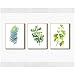 Produktbild Sungup Aquarell Pflanze Wandkunst Leinwand Malerei Green Leaf Poster Print Minimalist Wandbild für Wohnzimmer Home Decor 20"x28 (50x70cm) × 3NoFrame