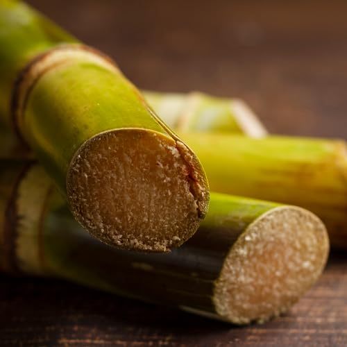 Mathieu Teisseire Rohrzucker Sirup 1 x 700ml