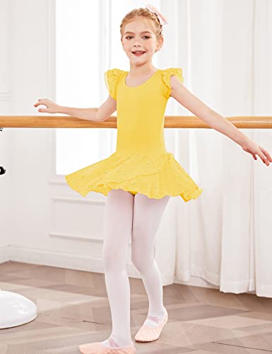 Image of Arshiner Girls Ruffle Sleeve Ballet Dance Dress Tutu Skirted Leotard