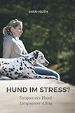 Hund im Stress? Entspannter Hund - Entspannter Alltag