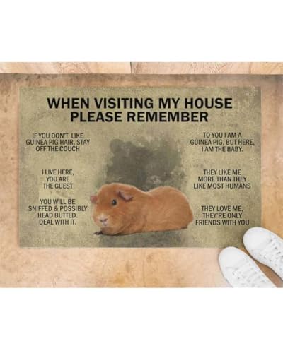 ���փ}�b�g ���̉Ƃ�K���ۂɂ͊o���Ă����Ă������� - �M�j�A 50×80cm doormat When Visiting My House Please Remember - Guinea