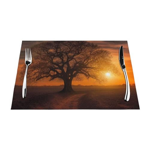 Sets de table résistants à la chaleur et antidérapants en PVC lavable pour cuisine - 7