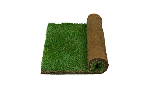 Patio Pet Life Real Grass Potty - Small