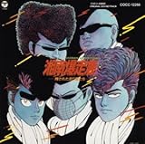 湘南爆走族~残された走り屋たち~